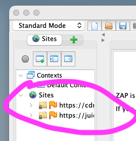 Screenshot van ZAP met zijbalk: Screenshot van ZAP met zijbalk